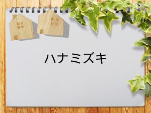 「ハナミズキ」が見られる動画配信サービス一覧 | 動画配信情報局